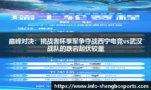 升博体育平台