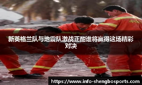 新英格兰队与地震队激战正酣谁将赢得这场精彩对决